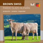 P 2022 9 19 2 ASR Broschüre Brown Swiss Spanisch R2 SCREEN Einzelseiten0001 00