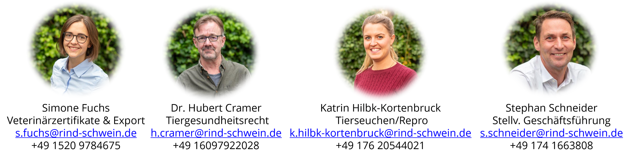 Ansprechpartner Internationale Angelegenheiten