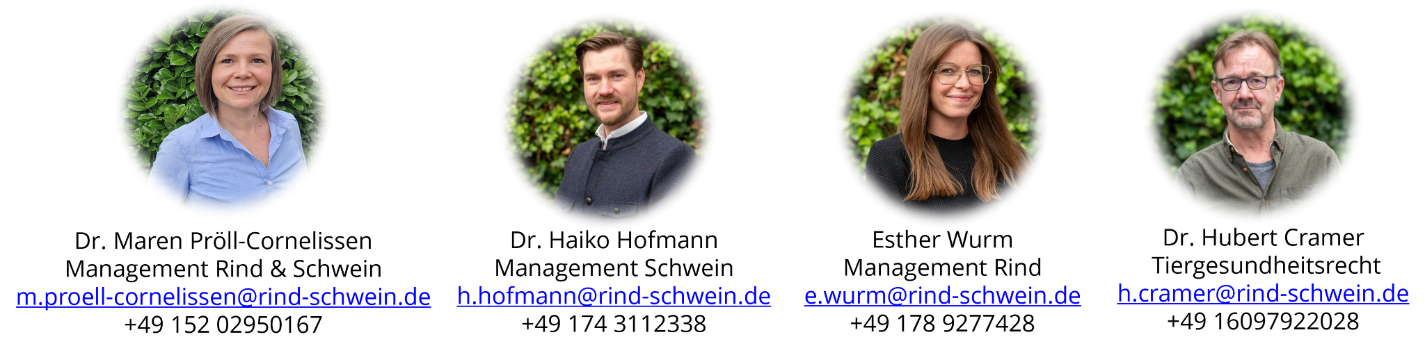 Ansprechpartner Management