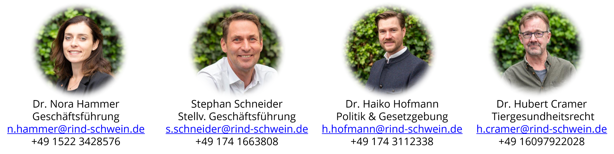 Ansprechpartner Politik Und Gesetzgebung