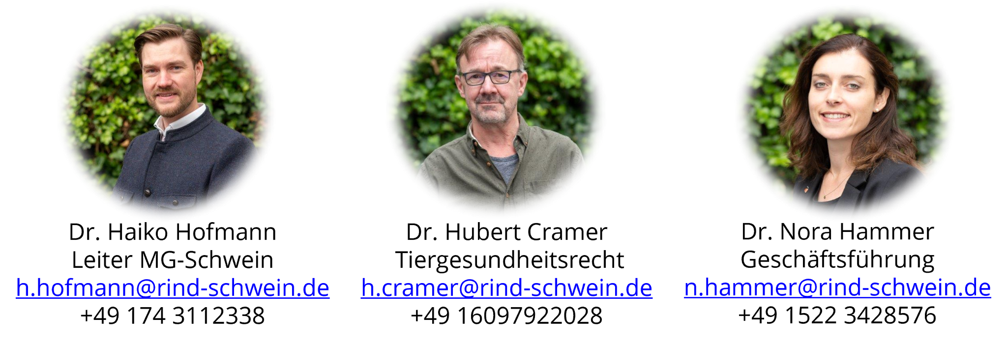 Ansprechpartner Politik & Gesetzgebung