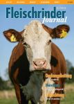 FRJ 4/20