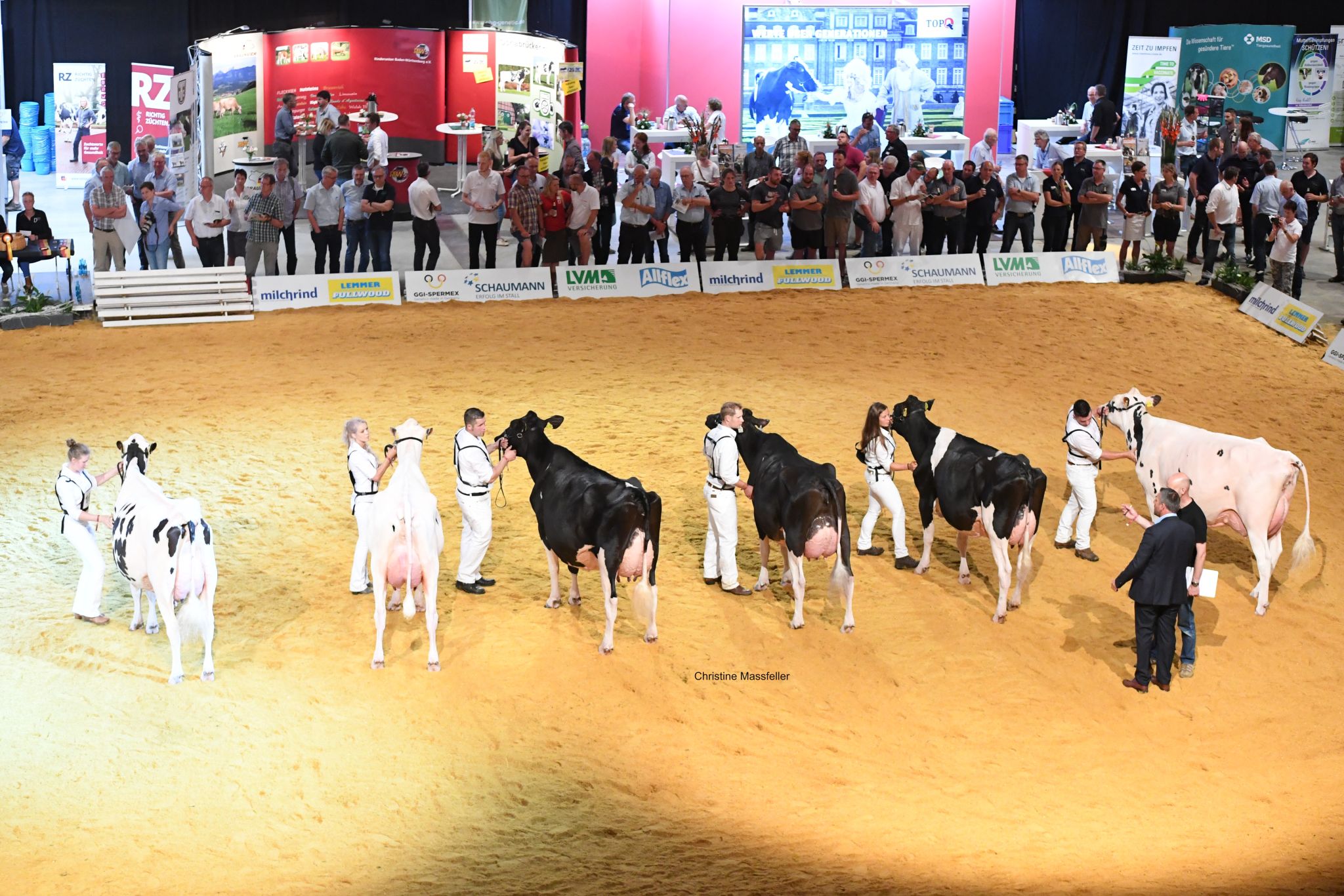 Siegerauswahl Holstein