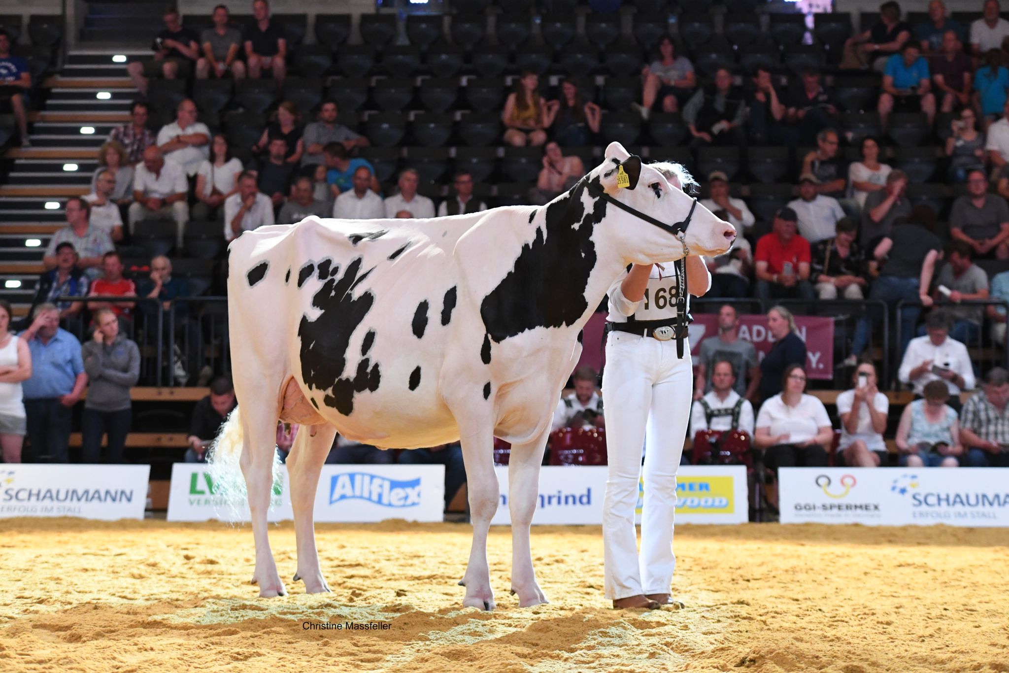 Siegerfärse Holstein OHB Dream