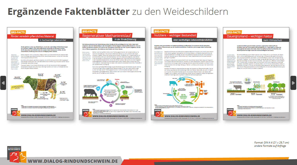 Abb 07 Faktenblätter RinderfaktenII