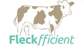 Fleckfficient