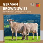 P 2022 9 20 1 ASR Broschüre Brown Swiss Englisch R1 SCREEN0001 00