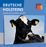 Holsteins De