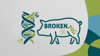 BrokenPig