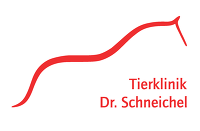 Logo Schneichel