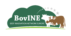 Logo BovINE