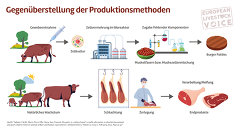 European Livestock: Laborfleisch Produktionsmethoden