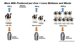 (c) USDA: Zusammenhang zwischen Leistung und Methanemissionen