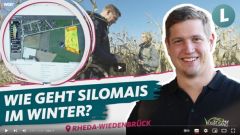 Wie Funktioniert Silomais Im Winter