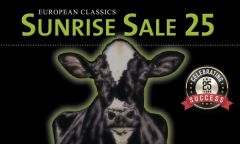 SundriseSale 2020 Online