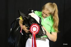 (c)Foto Schulte: Jungzüchterin auf der German Dairy Show 2019