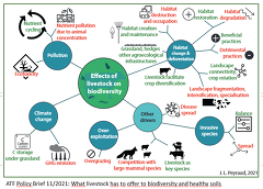 ATF Policy Brief 11/2021: What livestock has to offer to biodiversity and healthy soils