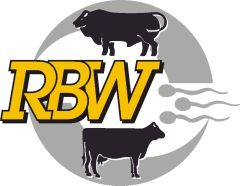 Logo RBW Color