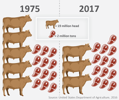 Durch Intensivierung zu einer nachhaltigeren Tierproduktion (c: USDA)