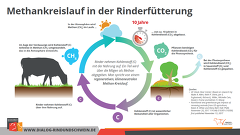 20210224 Methankreislauf Rinderfuetterung 20210224 Methankreislauf Rinderfuetterung