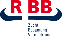 RBB Logo Neu