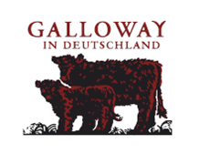 Galloway Galloway