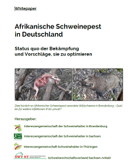 Whitepaper: Afrikanische Schweinepest in Deutschland - Status quo der Bekämpfung und Vorschläge, sie zu optimieren