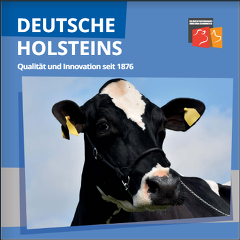 Rassebroschüre Deutsche Holsteins