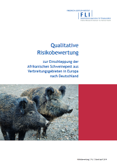 Qualitative Risikobewertgung 4/2019