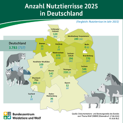 BZL Grafik Nutztierrisse 2025 In Deutschland