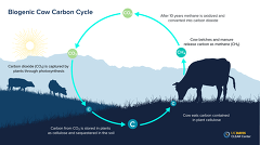 CLEAR Center University Of California Biogenic Cow Carbon Cycle