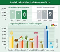 Grafik (c) BZL: Landwirtschaftlicher Produktioonswert 2019 (erste Schätzung)