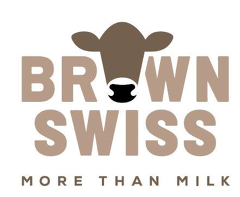 Brown Swiss - More than milk