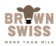 Brown Swiss - More than milk Brown Swiss - More than milk