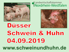 "Schwein und Huhn 2019", Haus Düsse