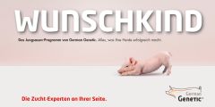 Motiv Wunschkind Motiv Wunschkind