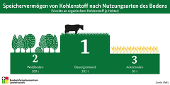 Kohenstoffspeicher BIZ / BMEL Kohenstoffspeicher BIZ / BMEL