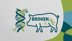 BrokenPig Projektlogo Final BrokenPig Projektlogo Final