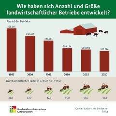 BZL-Infografik: Entwicklung der landwirtschaftlichen Betriebsstruktur