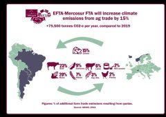 Mercosur