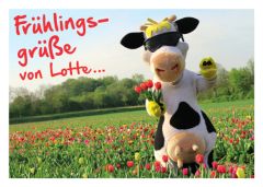 (c)Milch-NRW.de: Frühlingsgrüße mit Postkarte "Lotte"