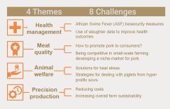 EU PiG: Themes and Challenges 2020
