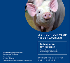 Typisch Schwein Niedersachsen 2019