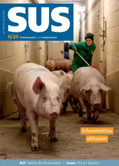 SuS 6 / 2020 SuS 6 / 2020