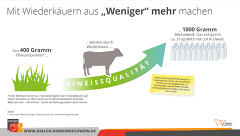 Eiweiß Aus Weniger Mehr Machen Eiweiß Aus Weniger Mehr Machen