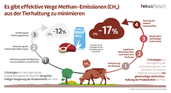 Grafik Fokus Fleisch Methanreduktion Tierfütterung Grafik Fokus Fleisch Methanreduktion Tierfütterung