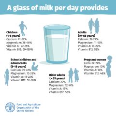 FAO: Milch ist wichtiges Lebensmittel