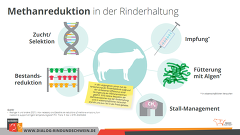 Möglichkeiten Methansenkung