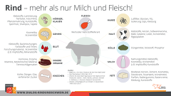 Produkte Vom Rind Produkte Vom Rind