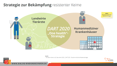 Strategie Gegen Antibiotikaresistenzen